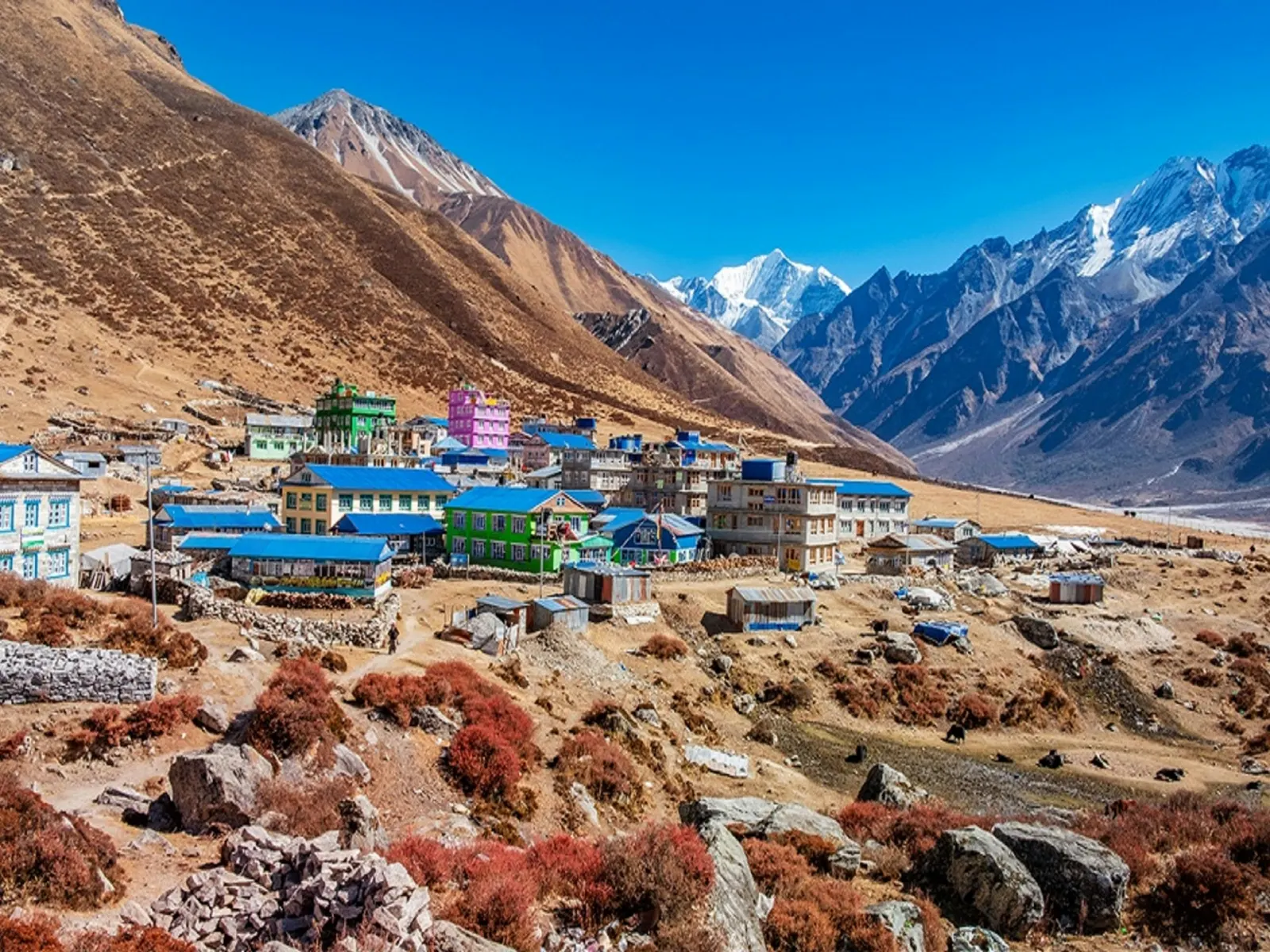 Five Days to Langtang: What My Notebook Actually Says