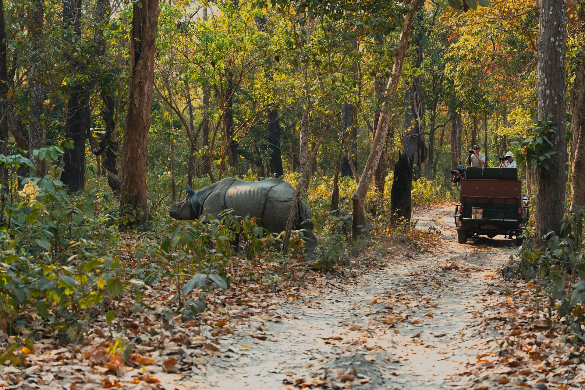 Chitwan Wildlife Safari