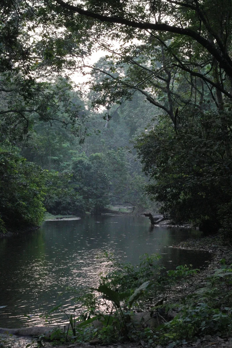 Chitwan Safari gallery photo